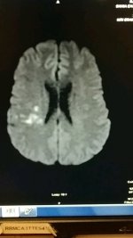 head.jpeg
