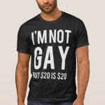 im_not_gay_but_20_is_20_t_shirt-r1c612b0ea91348e486c670e037dba162_k21hw_540.jpg