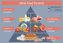 Food-and-Beverage-Health-Food-USDA-Food-Pyramid.jpg