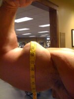 Biceps at 39.jpg