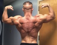 back.jpg back.jpg