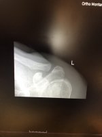 IMG_1727.jpeg IMG_1727.jpeg