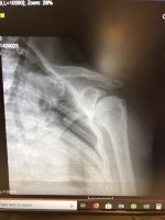 IMG_1729.jpeg IMG_1729.jpeg