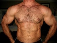 front delts.jpg