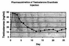 testosterone_enanthate release cycle.jpg