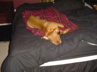 DSC01314.JPG