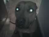 Sep16_0001.jpg