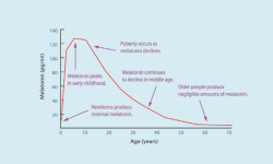 Image_Melatonin-secretion-from-infant-to-old-age-pg-ml.png