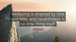 1468713-Zeno-of-Citium-Quote-Wellbeing-is-attained-by-little-and-little.jpg