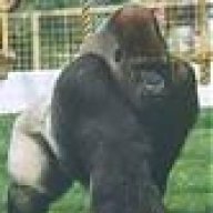 JuiceMonkey99