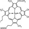 Hemoglobin