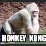 hog93