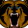 BearBRREP