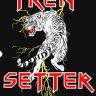 trensgender15