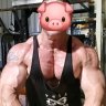 Pigsy