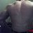 nartic