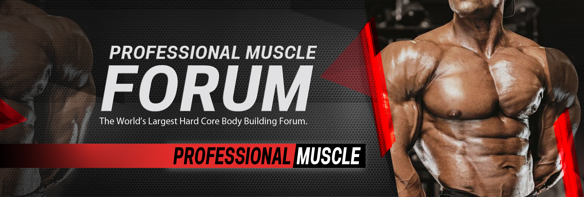 Professional Muscle Hardcore Bodybuilding Forum logo